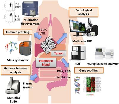 Biomarkers for Immune Checkpoint Inhibitors in Melanoma